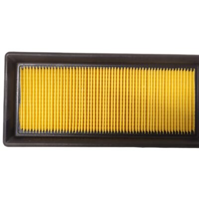 Filtro De Aire Bajaj Pulsar Ns 200 Original